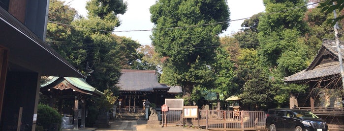 城山熊野神社 is one of 木・緑地.