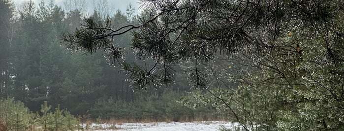 Toulovcovy maštale is one of Hlinsko.