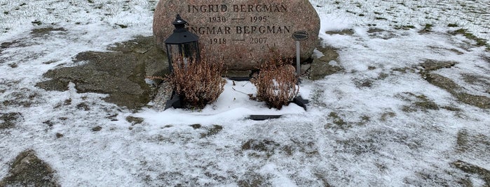 Bergmans grav is one of To visit in Europe.