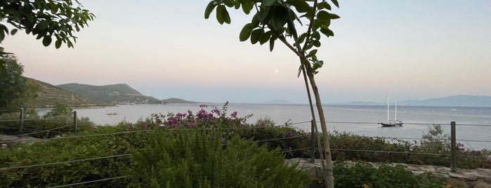 La Luce is one of Bodrum.