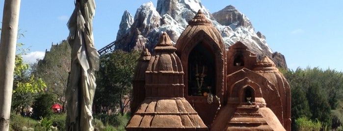 Expedition Everest is one of Disney 2010.