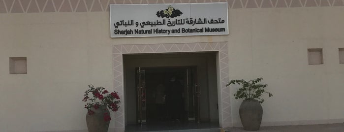Sharjah Natural History And Botanical Museum is one of Kid's Entertainment.