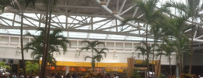 Orlando International Airport (MCO) is one of Airports.