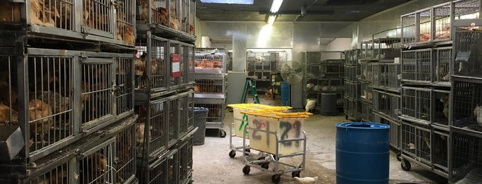 Lapera Bros. Poultry is one of A Foodie's Paradise-NYC Edition!.