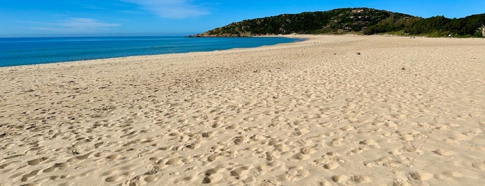 Spiaggia Sa Colonia is one of Sardinia.