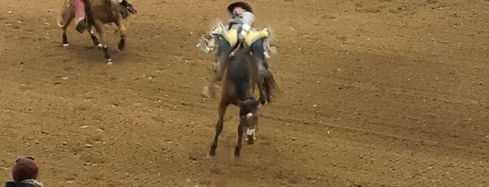 Rodeo Austin is one of Day Trips.