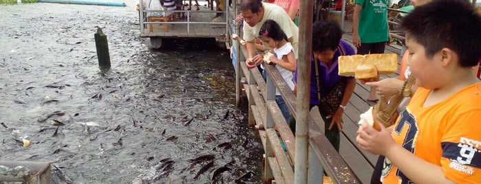 แพท้ายวัดไร่ขิง is one of เที่ยวทั่วไทย.