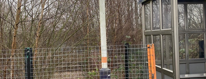 Langley Mill Railway Station (LGM) is one of Train Stations all over the UK.