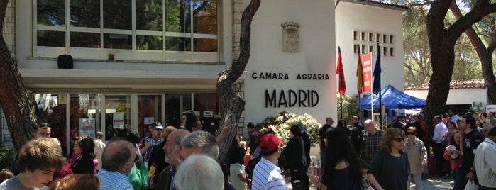 Camara Agraria De Madrid is one of Madrid: Administración Pública.