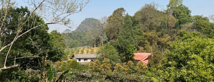 Royal Agricultural Station Angkhang is one of Chiang Mai.