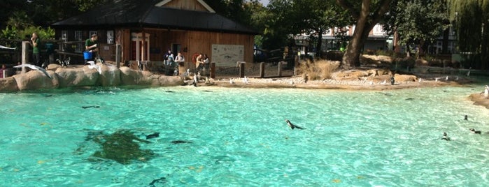 Penguin Beach is one of London Highlights.