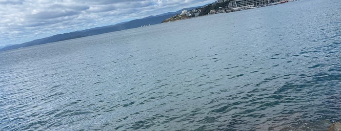 Wellington Waterfront is one of Ozzie Kiwi.