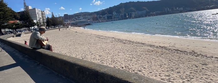 Oriental Bay is one of Wellington 2017.