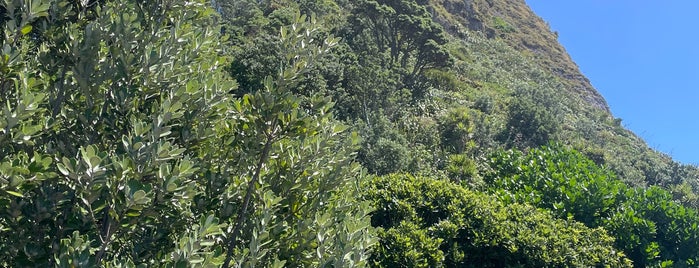 Paritutu Rock is one of Best places in New Plymouth, New Zealand.