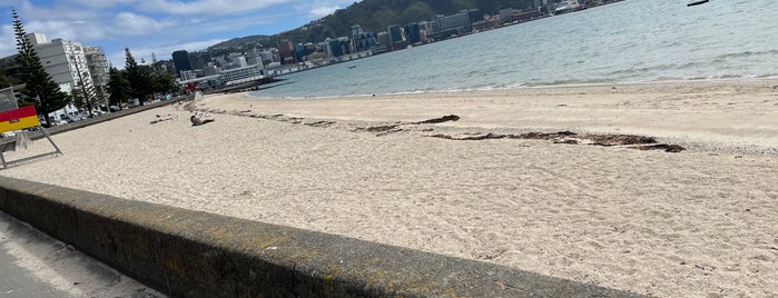 Oriental Bay is one of Wellington To DO!.