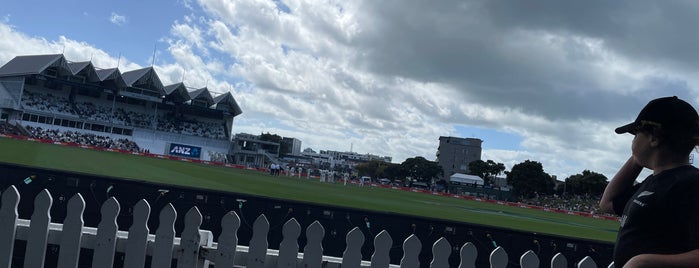 Basin Reserve is one of Cricket.