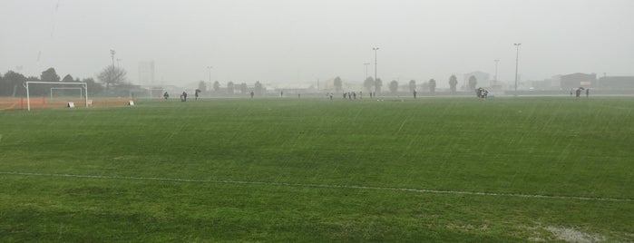 Waikaraka Park is one of Soccer fields.