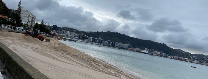 Oriental Bay is one of Pacific Trip not visited.