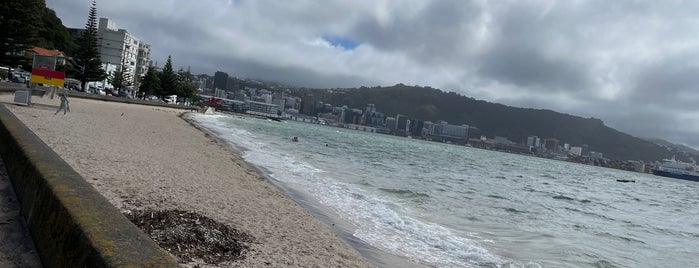 Oriental Bay is one of Brigid’s Liked Places.