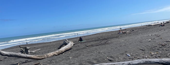 Fitzroy Beach is one of New Plymouth To-Do List.