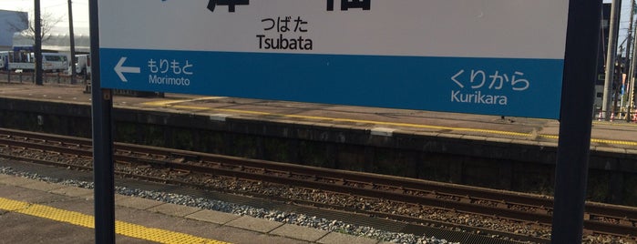 Tsubata Station is one of Stampだん.