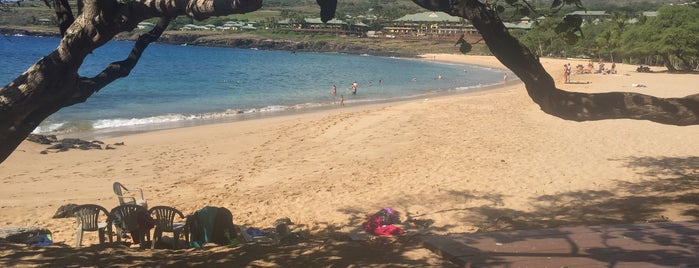 Hulopo'e Beach is one of Maui.