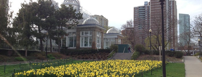 Allan Gardens is one of places to walk.