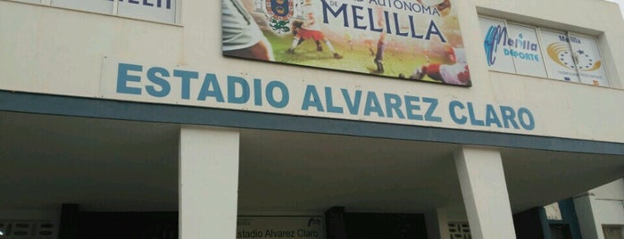Estadio Municipal Álvarez Claro is one of Lugares favoritos de Francisco.
