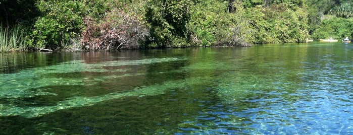 Weeki Wachee Canoe & Kayak is one of Nord-Florida Panhandle / USA.