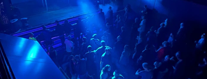 The Studio is one of Auckland Nightlife.