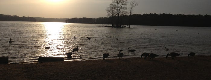 Loch Raven Reservoir is one of visited.