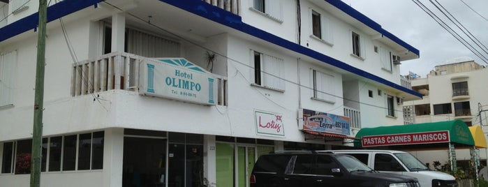 Hotel Olimpo is one of สถานที่ที่ Hugo ถูกใจ.