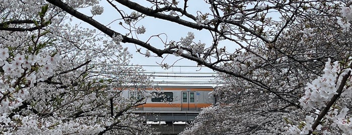 神田上水公園 is one of JPN00/1-V(1).