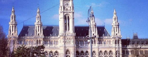 Rathausplatz is one of Viyana.