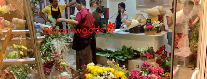 Bloomwoods is one of wagas.
