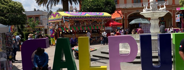 Zocalo Calpulalpan is one of lugarcitos.