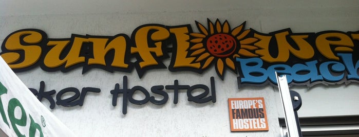 Sunflower Beach Backpacker Hostel & Bar is one of Lugares guardados de Infohostal.com.