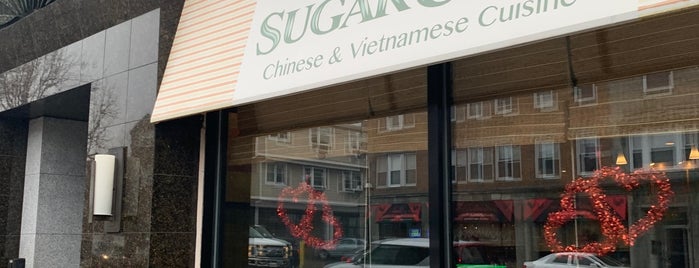 Sugarcane is one of East & North of Boston.