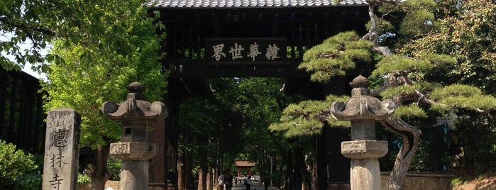恵林寺 is one of 山梨.