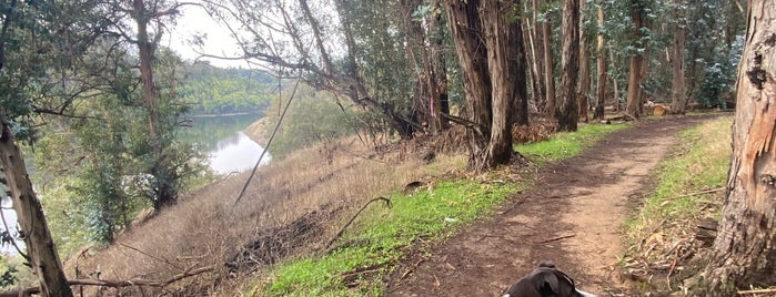 Lake Chabot Regional Park is one of Weekend trips.
