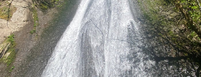 Wahclella Falls Trail is one of 🇺🇸 Portland, OR.