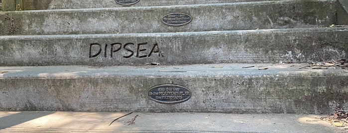 Dipsea Steps is one of Marin County's Best.