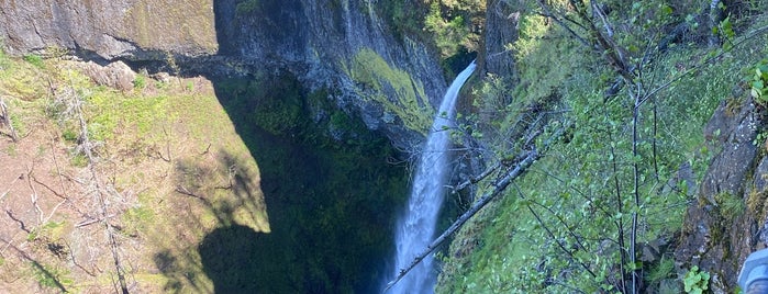 Elowah Falls is one of Portland OR.
