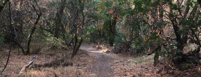 Ritchey Canyon Trail is one of Tempat yang Disukai Barbara.