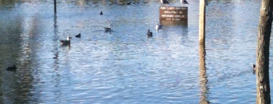 Polliwog Park is one of Los Angeles Area Field Trips.