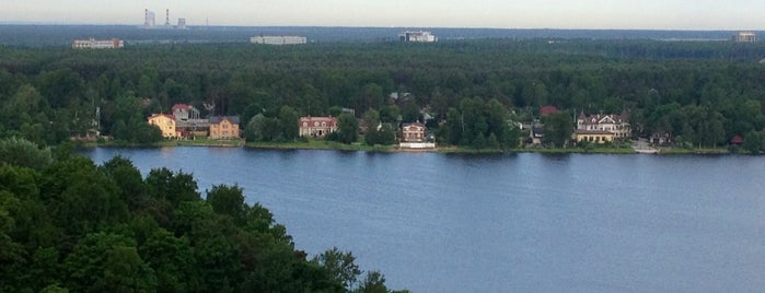 Нижнее (Большое) Суздальское озеро is one of Озерки.