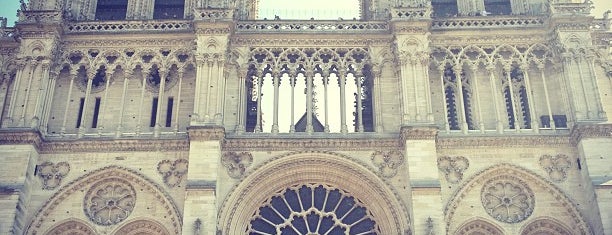 Cathedral of Notre-Dame de Paris is one of Paris to do.