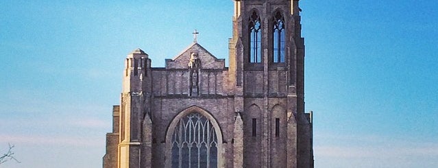 Roman Catholic Diocese of Rockville Centre is one of Lieux qui ont plu à Didi.