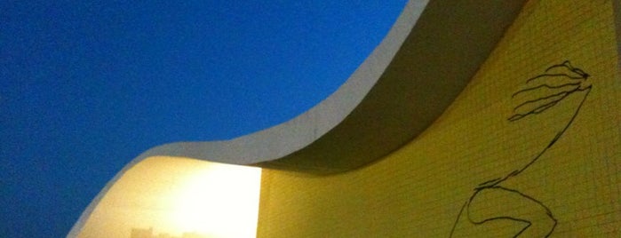 Teatro Popular Oscar Niemeyer is one of Rio.