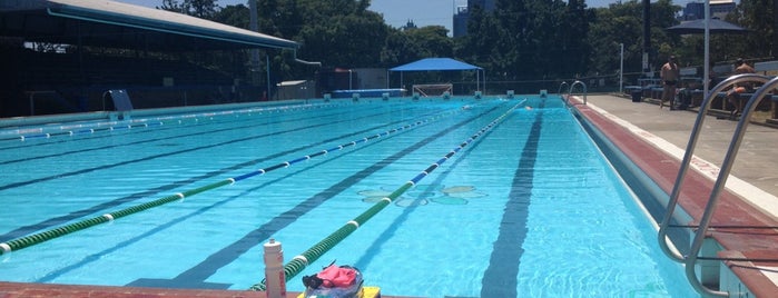 Musgrave Park Pool is one of Suburbs in Brisbane.